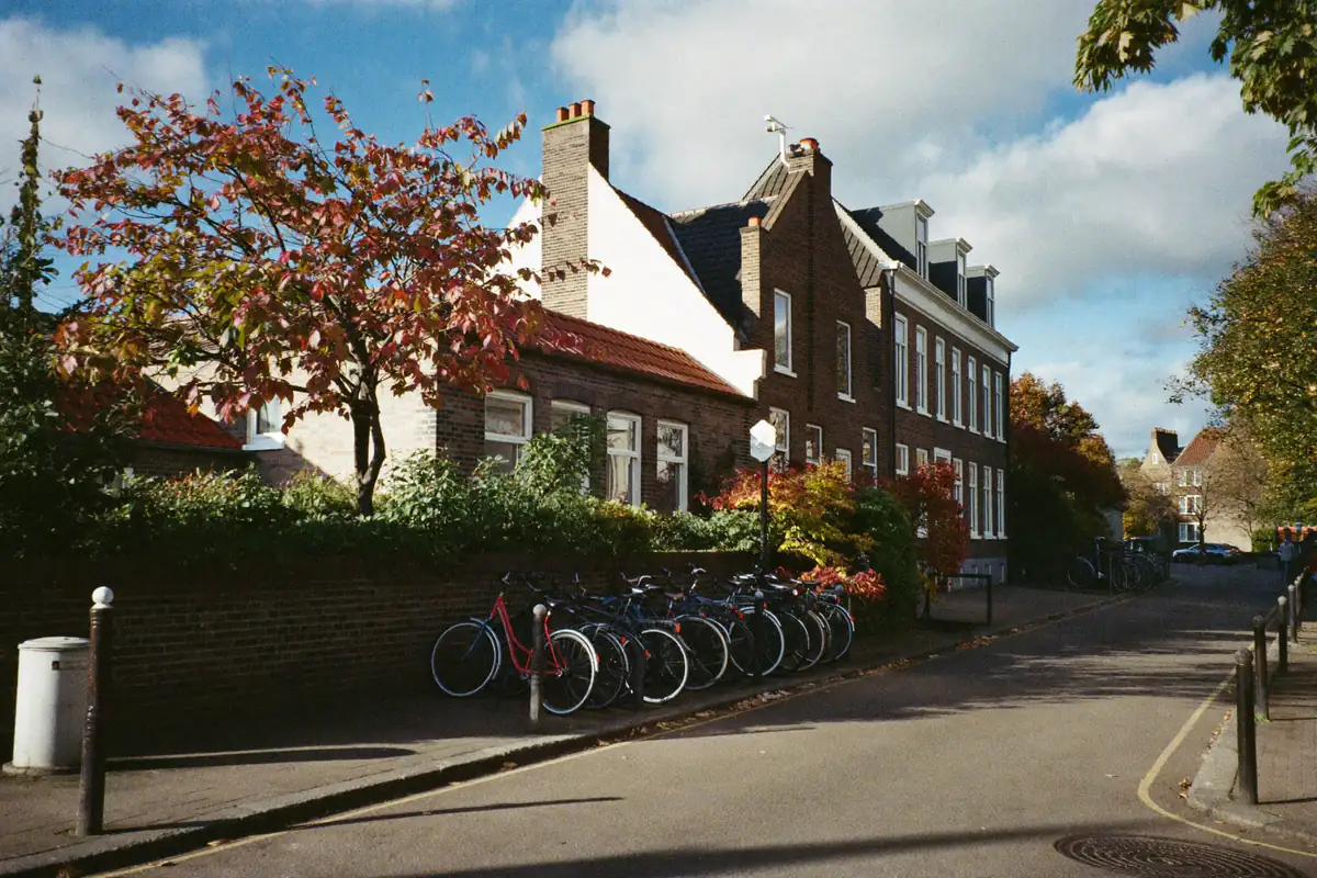 Straat met baksteenwoningen in een Brabantse stad in het najaar